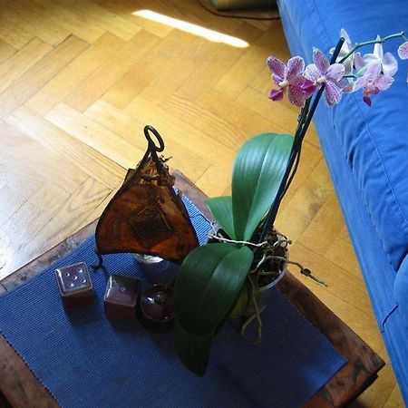 Maria-Rosa Guesthouse Rome Extérieur photo