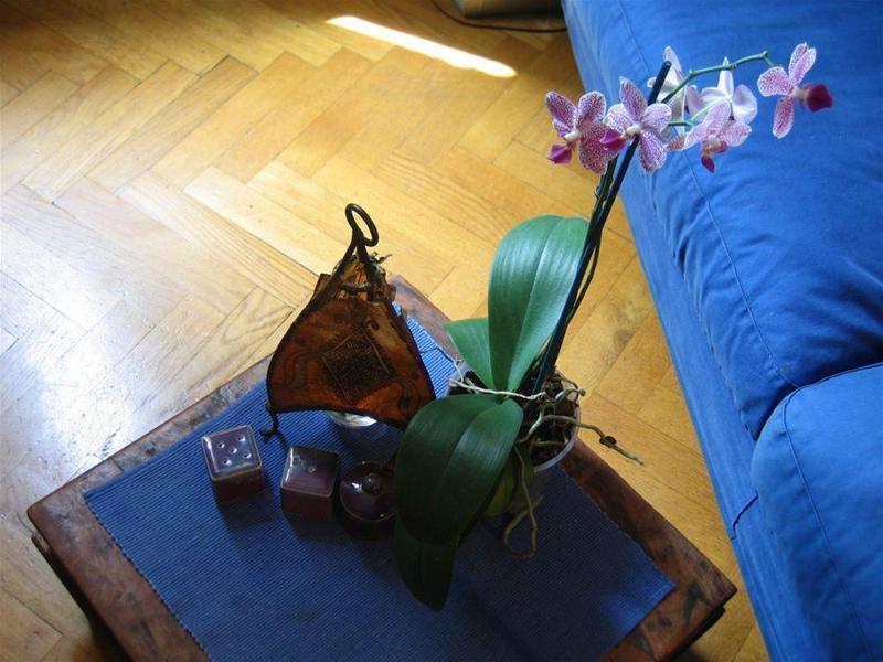 Maria-Rosa Guesthouse Rome Extérieur photo